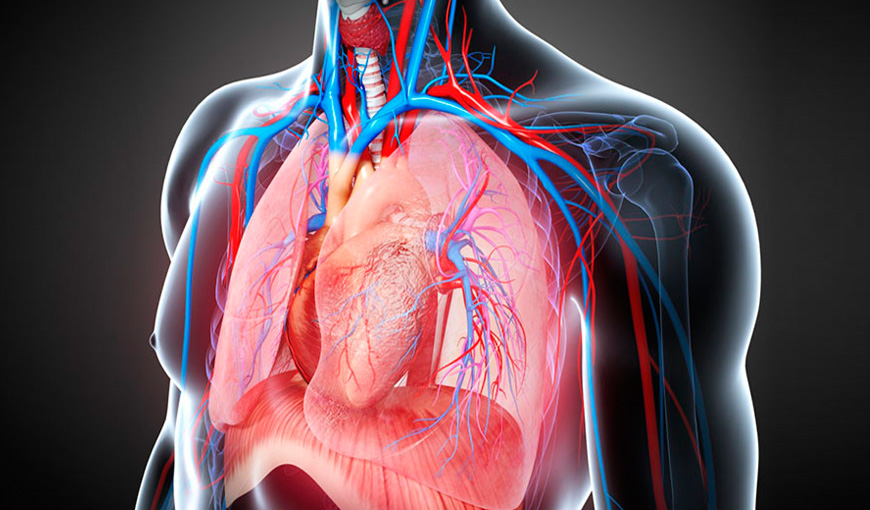 Lung Surgery in Thane: When Is It Needed and What Are Your Options?